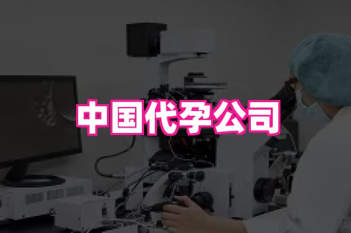 国际助孕网站 1
