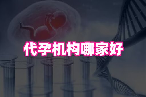 国际助孕网站 3