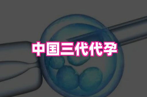 国际助孕网站 4
